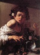 Boy Bitten by a Lizard f Caravaggio