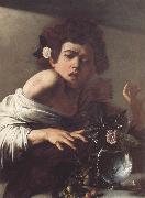 Boy Bitten by a Lizard Caravaggio