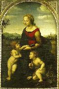 virgin and child wild st. Raphael