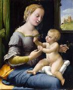 Madonna dei garofani Raphael