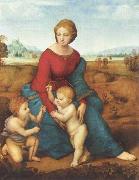 Madonna del Prato Raphael