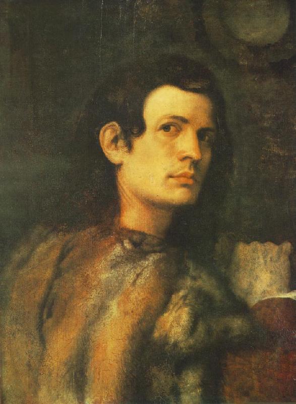 Giorgione Portrait of a Young Man dh