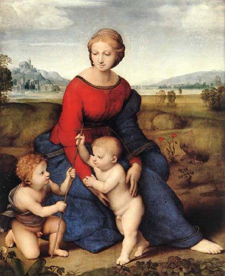 Raffaello Madonna of Belvedere